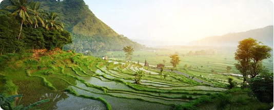 Breathwork training Bali